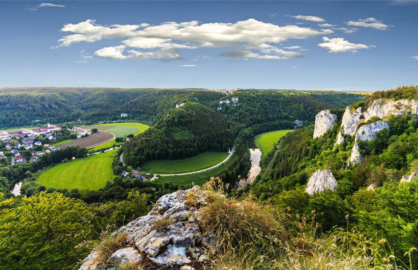 Ein Katamaran ankert vor einer mit Bäumen bewachsenen Insel.